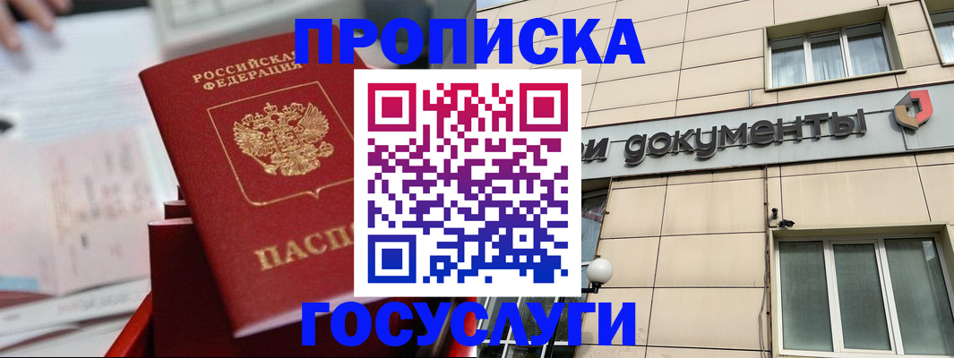 прописка в Шебекино